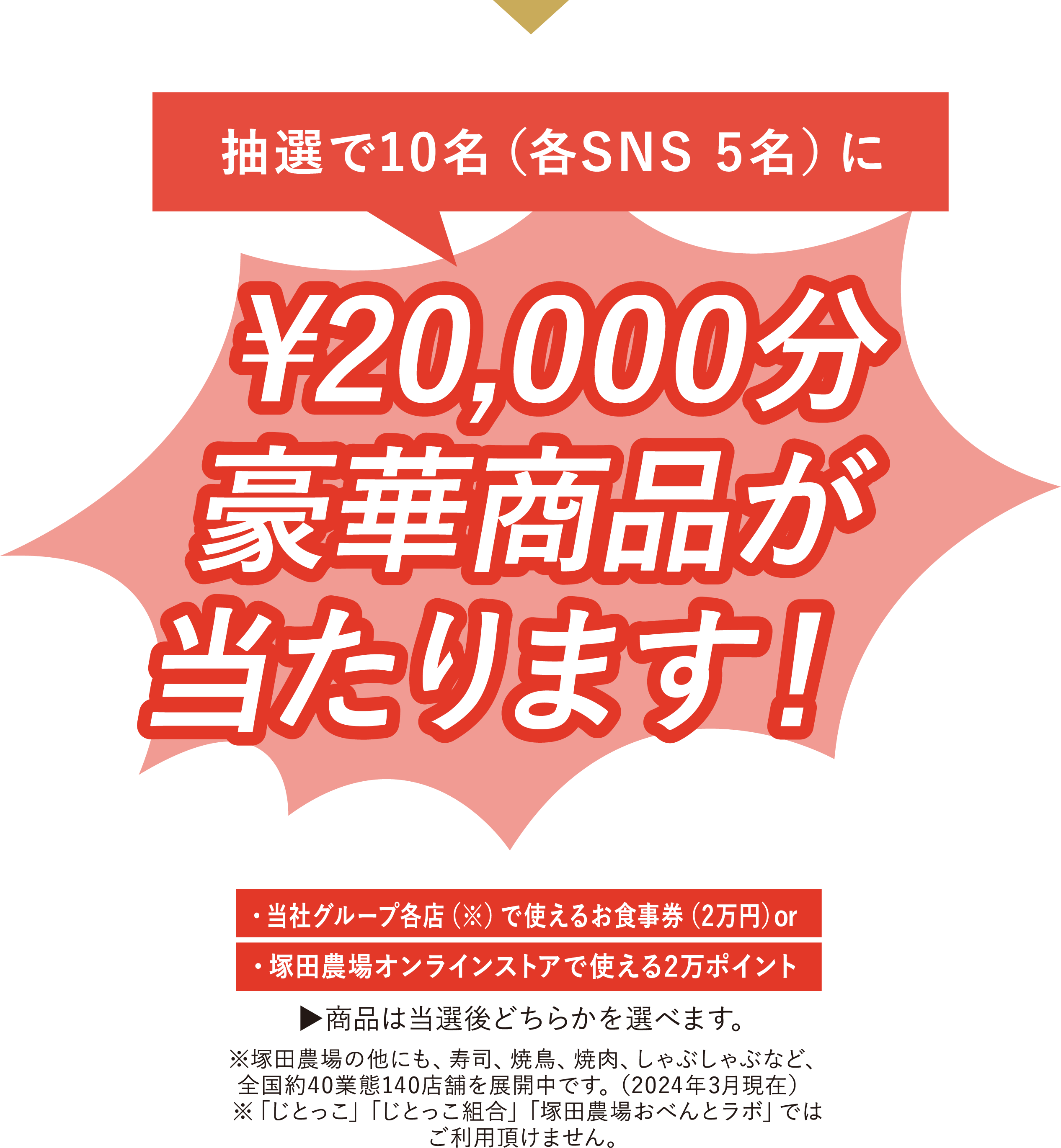 塚田農場のお弁当の写真と、指定のハッシュタグを
                    XかInstagramに投稿し応募すると…抽選で10名（各SNS 5名）に
                    ¥20,000分豪華商品が当たります!